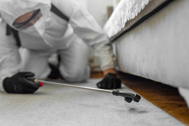 Professional Pest Control technician working in Bledsoe County County, TN